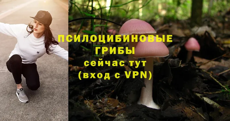 купить  сайты  Хотьково  Псилоцибиновые грибы Magic Shrooms 